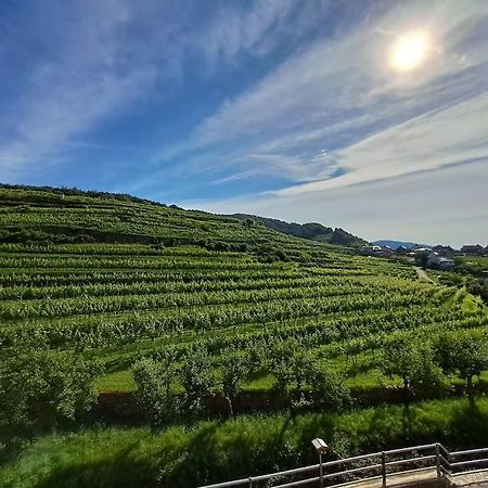 Wohnung In Der Wachau Weissenkirchen in der Wachau Esterno foto