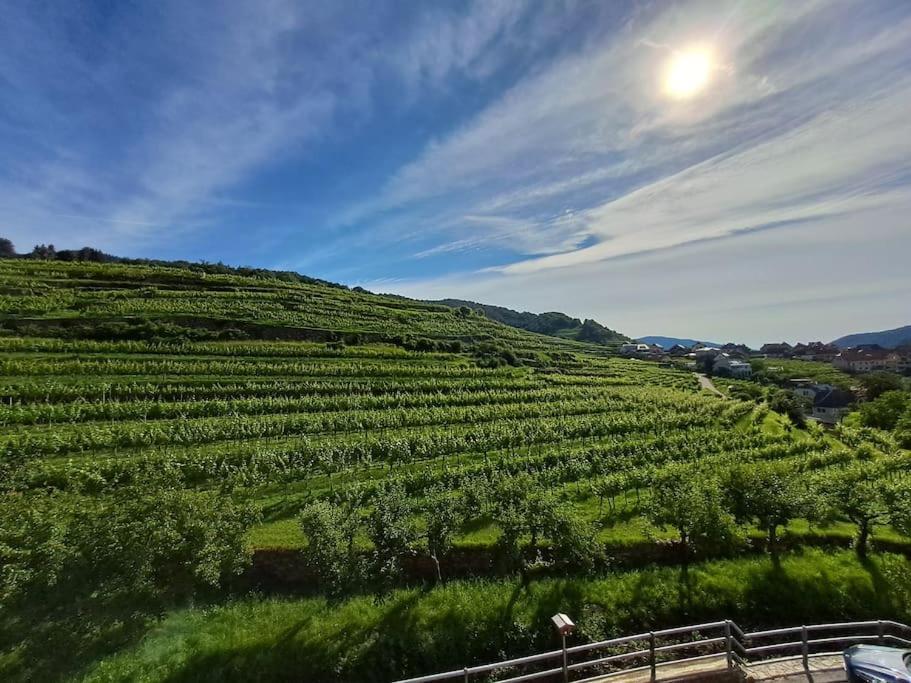Wohnung In Der Wachau Weissenkirchen in der Wachau Esterno foto
